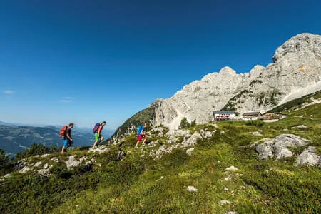 Sommer Bild 1