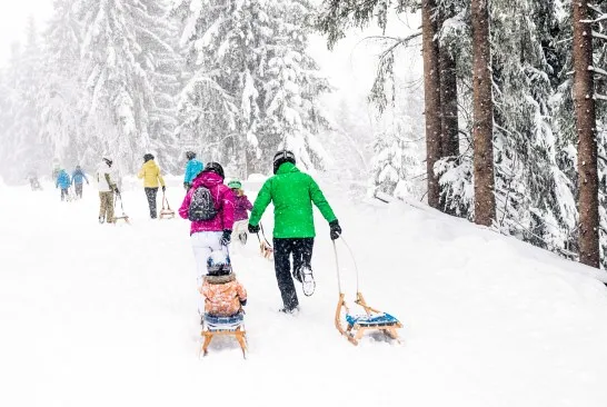 Rodeln-am-Wilden-Kaiser Rodeln-am-Wilden-Kaiser